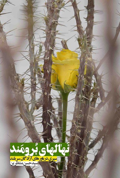 نهال های برومند: سیری در باورهای آزادگان سربلند