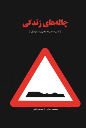 چاله های زندگی: آسیب شناسی 20 چالش در سبک زندگی