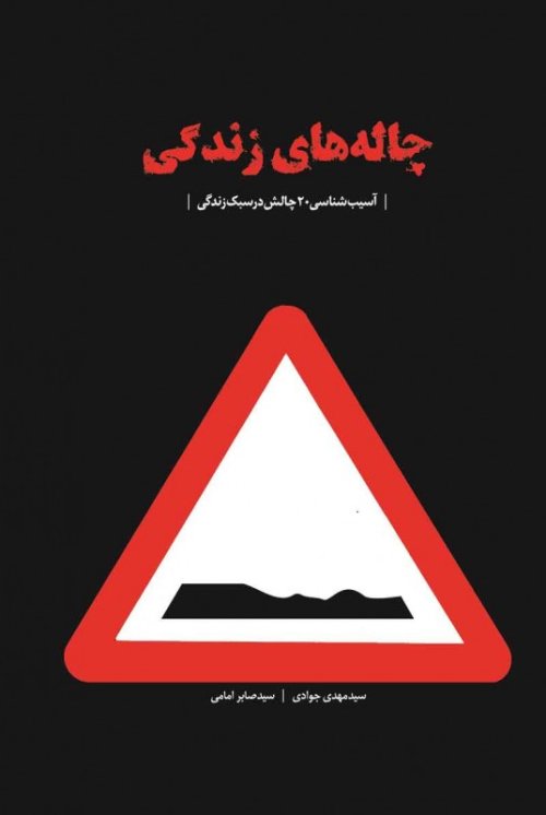 چاله های زندگی: آسیب شناسی 20 چالش در سبک زندگی