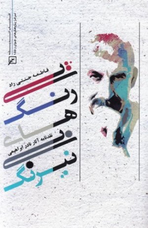 پیرنگ های بی نیرنگ: نقدنامه آثار نادر ابراهیمی