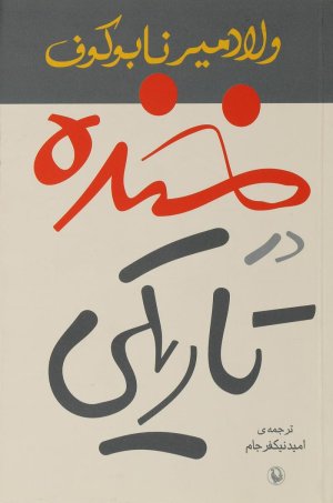خنده در تاریکی