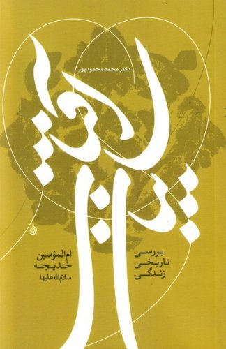 سایبان آفتاب: بررسی تاریخی زندگی ام المومنین خدیجه