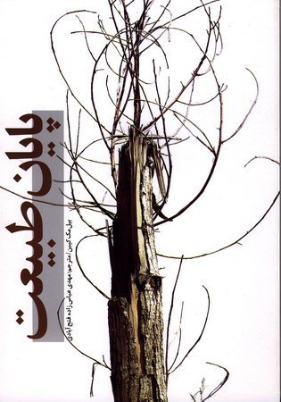 پایان طبیعت