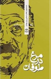 مرغ در طوفان