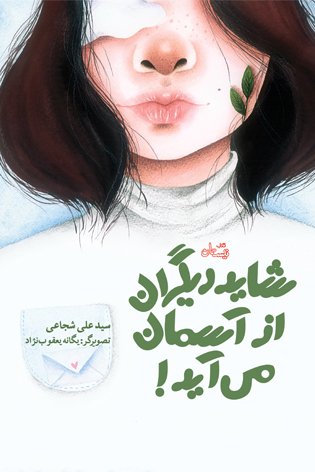 شاید دیگران از آسمان می آید