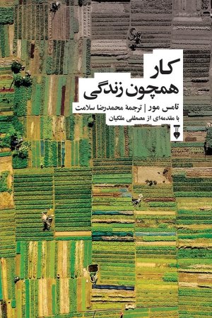 کار همچون زندگی: چگونه می توانید کاری را که برای آن زاده شده اید کشف کنید و به رضایت خاطر برسید