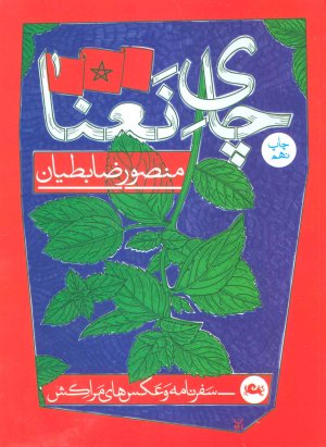 چای نعنا: سفرنامه و عکس های مراکش