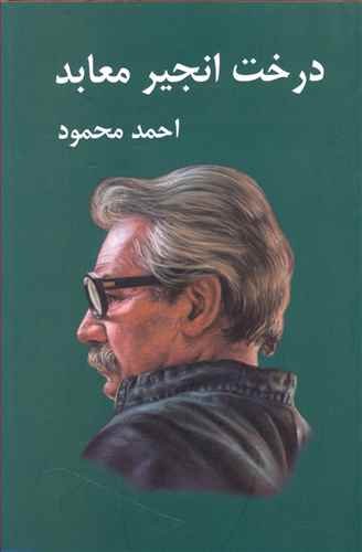 درخت انجیر معابد 2جلدی