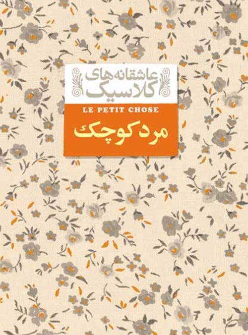 عاشقانه کلاسیک جلد 12: مرد کوچک