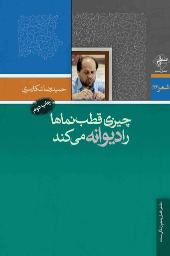 چیزی قطب نماها را دیوانه می کند