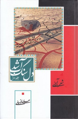 دل سنگ آب شد: جلد اول