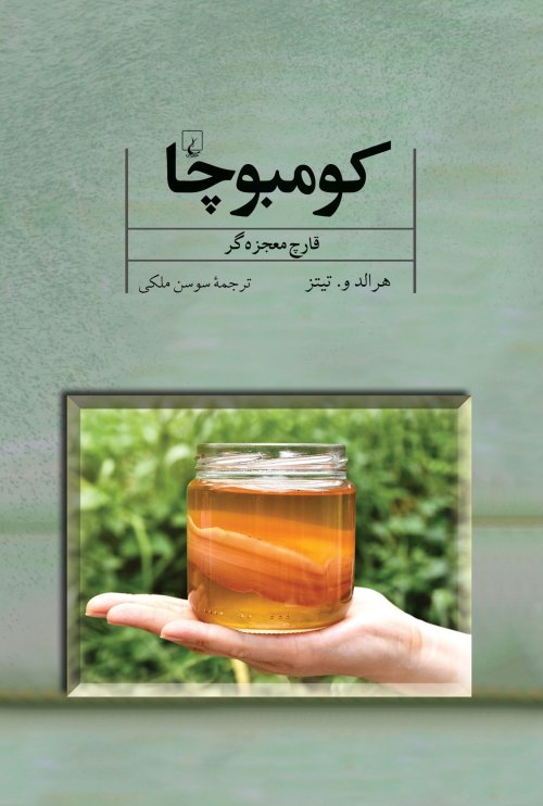 کومبوچا: قارچ معجزه گر