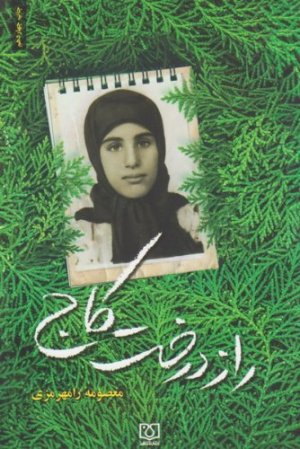 راز درخت کاج خاطرات شهید زینب کمایی