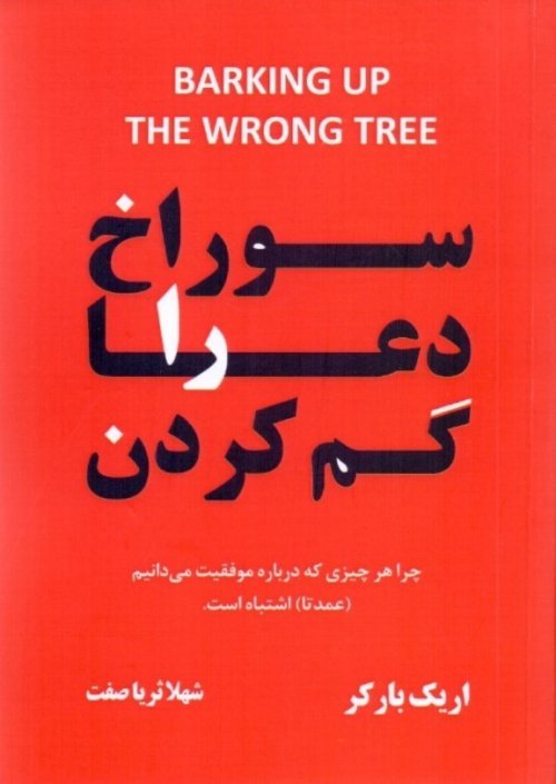 سوراخ دعا را گم کردن: چرا هر چیزی که درباره موفقیت می دانیم عمدتا اشتباه است