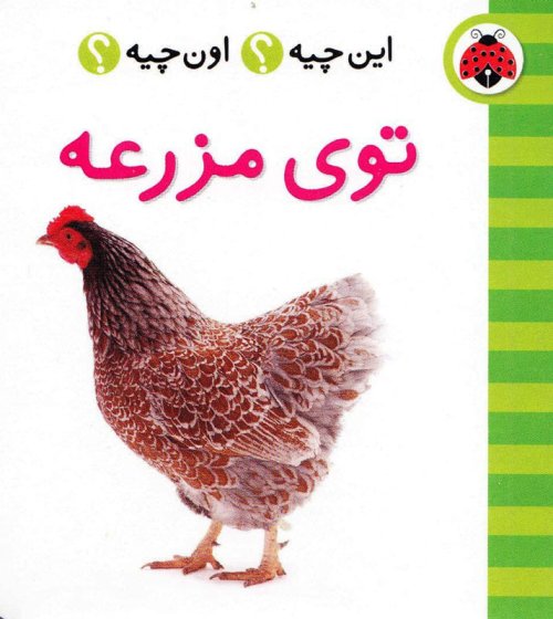 این چیه؟ اون چیه؟ توی مزرعه