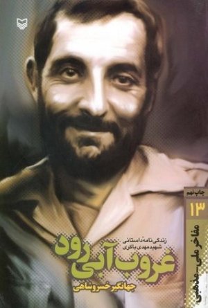 غروب آبی رود: زندگی نامه داستانی شهید مهدی باکری