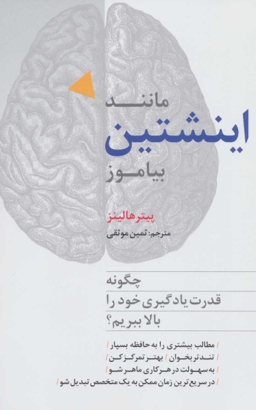 مانند اینشتین بیاموز: چگونه قدرت یادگیری خود را بالا ببریم