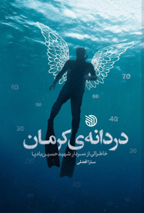 دردانه کرمان: خاطراتی از سردار شهید حسین بادپا