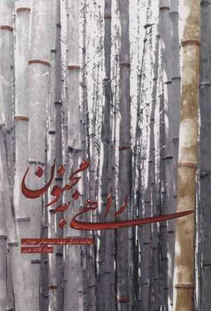 راهی به مجنون: روایت زندگی شهید سید عباس جولایی