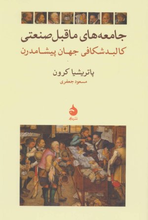 جامعه ماقبل صنعتی