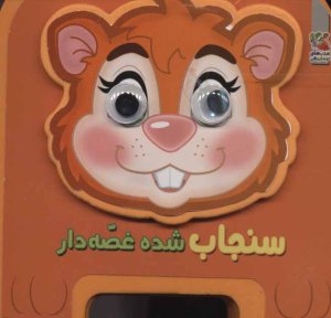 چشمی فومی سنجاب شده غصه دار جلد 16