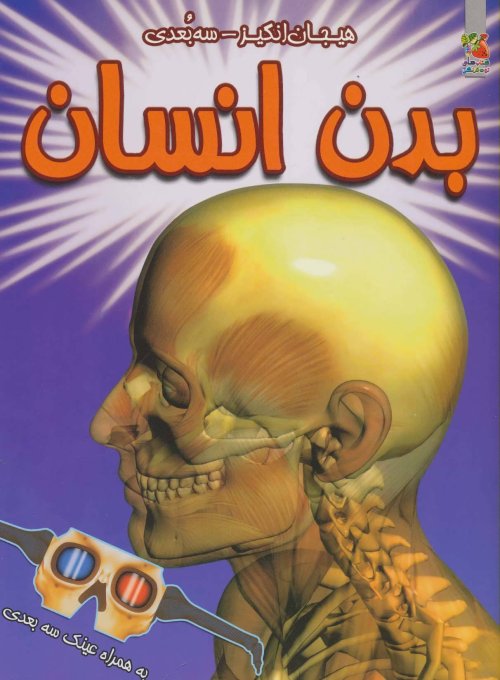 بدن انسان
