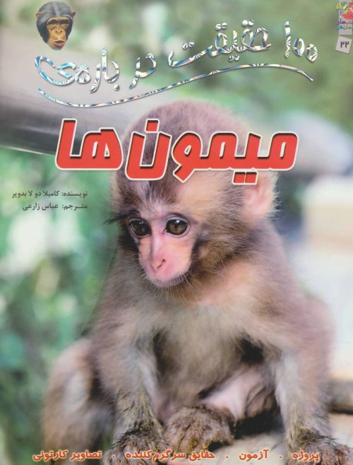 100 حقیقت درباره میمون ها