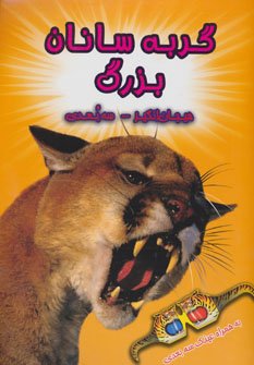 گربه سانان بزرگ