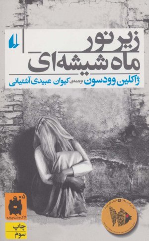 زیر نور ماه شیشه ای