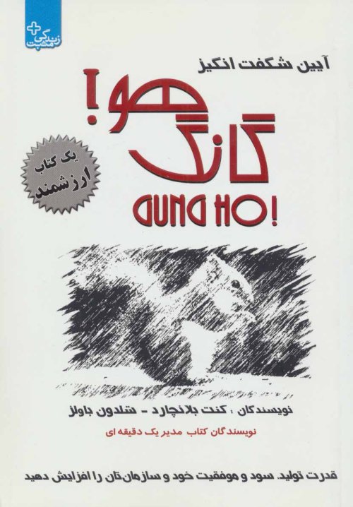 آیین شگفت انگیز گانگ هو