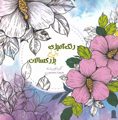 رنگ آمیزی برای بزرگسالان