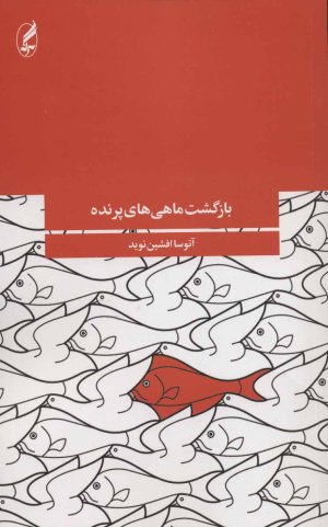 بازگشت ماهی های پرنده