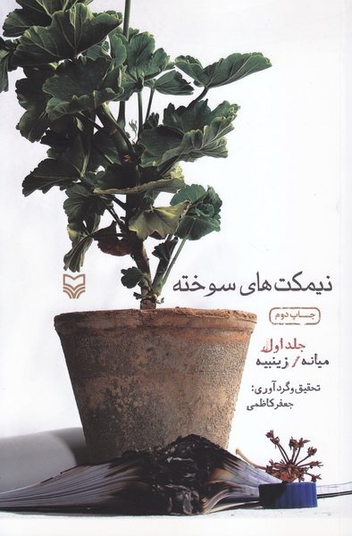 نیمکت های سوخته جلد 1: میانه زینبیه