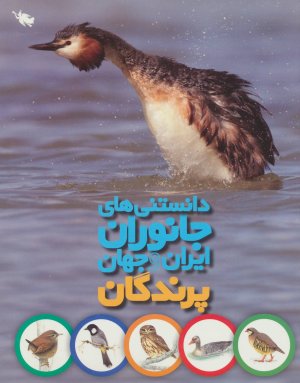 دانستنی های جانوران ایران و جهان: پرندگان