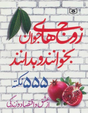 زوج های جوان بخوانند و بدانند: 555 نکته از عشق و اقتصاد و زندگی