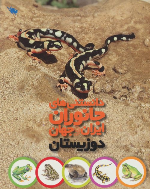 دانستنی های جانوران ایران و جهان: دوزیستان