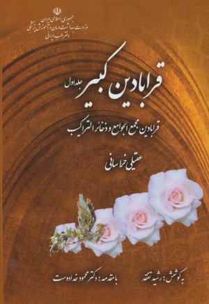 قرابادین کبیر 2جلدی
