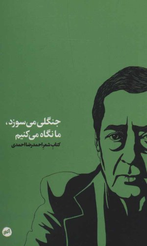 جنگلی می سوزد، ما نگاه می کنیم