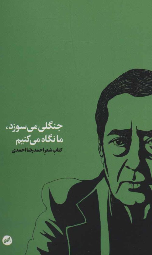 جنگلی می سوزد، ما نگاه می کنیم