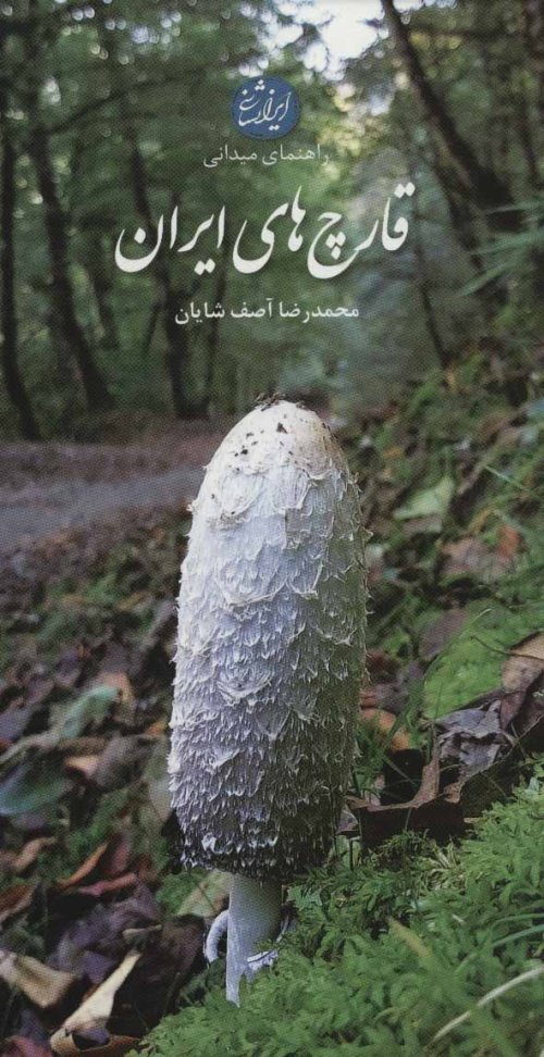 راهنمای میدانی قارچ های ایران