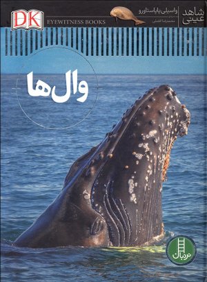 شاهد عینی: وال ها