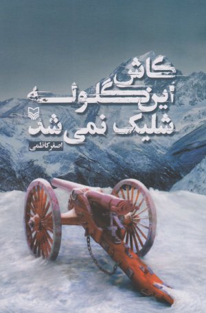کاش این گونه شلیک نمی شد