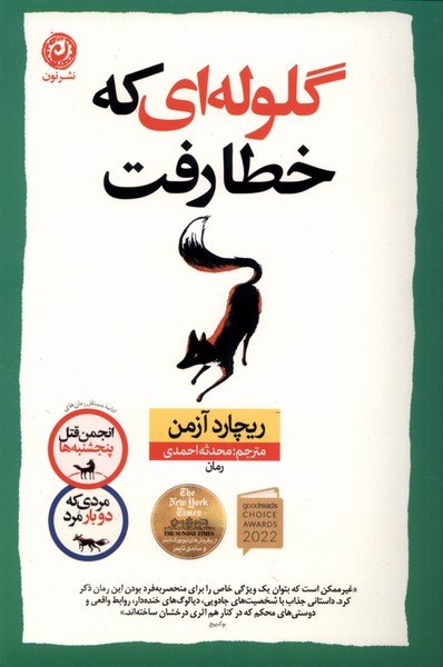 گلوله ای که خطا رفت