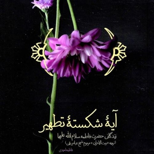 آیه شکسته تطهیر
